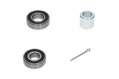 SET RULMENT ROATA Kavo Parts WBK8515 3