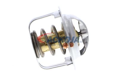 TERMOSTAT LICHID RACIRE ACKOJA A32990004 59