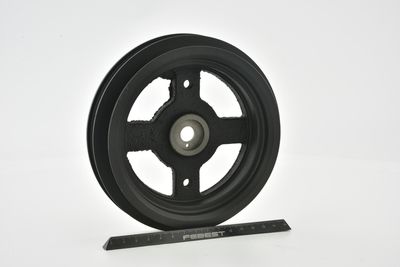 FULIE CUREA ARBORE COTIT FEBEST TDS2NZFE 49