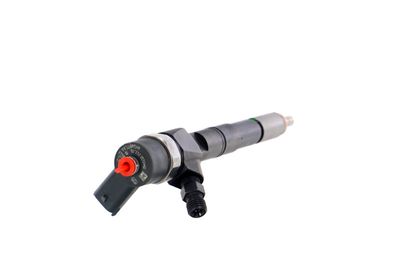 INJECTOR REMANTE 002003001674R 31