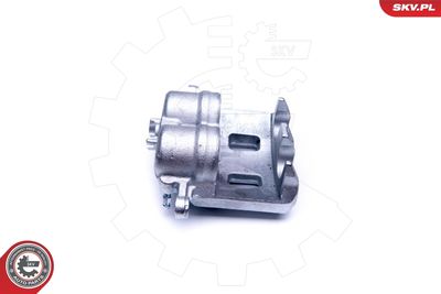 Brake Caliper 42SKV982