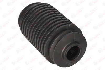 BURDUF CAUCIUC DIRECTIE BIRTH 7691 3