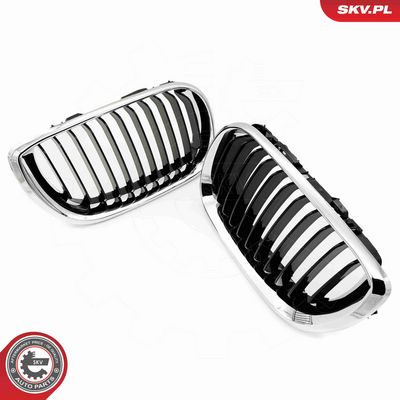 GRILA RADIATOR ESEN SKV 66SKV079 3