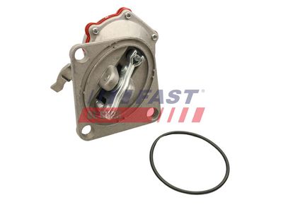 MODUL ALIMENTARE COMBUSTIBIL FAST FT53025 1