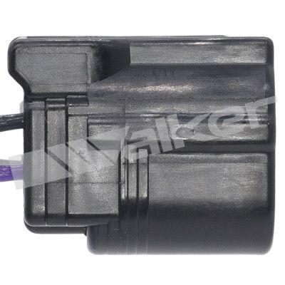 LAMBDASONDE WALKER PRODUCTS 25024798 3