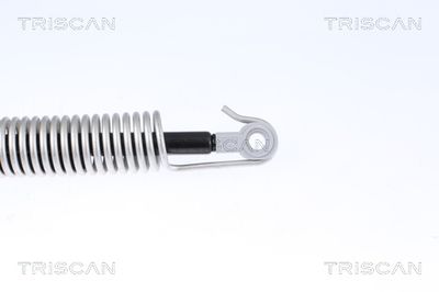 AMORTIZOR PORTBAGAJ TRISCAN 8710112014 2