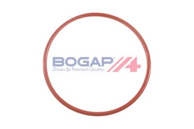 GARNITURA POMPA COMBUSTIBIL BOGAP C1623101 1