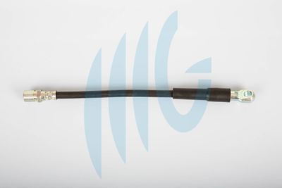 Тормозной шланг RICAMBIFLEX GM 02120131 для FIAT FIORINO