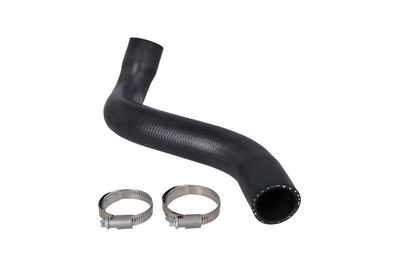 FURTUN EAR SUPRAALIMENTARE