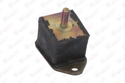 SUPORT MOTOR BIRTH 5224 9