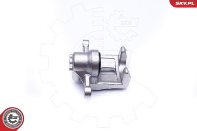 Brake Caliper 45SKV193