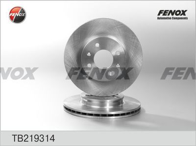 FENOX TB219314 Тормозные диски FENOX для KIA RIO