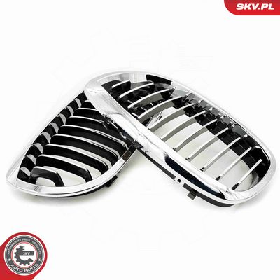 GRILA RADIATOR ESEN SKV 66SKV070 2