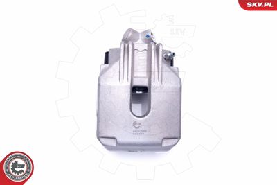 Brake Caliper 44SKV664