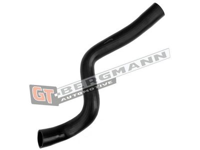 GT-BERGMANN Automotive - Hadica plniaceho vzduchu (hadica turba) RENAULT , GT52-655