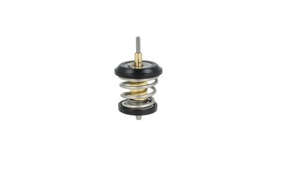 TERMOSTAT LICHID RACIRE NRF 725250 6