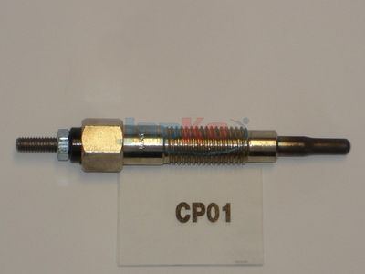 CP01