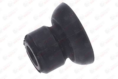 BUCSA ARBORE DE DIRECTIE BIRTH 40641 3