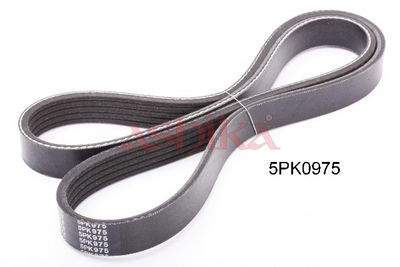 пистов ремък ASHIKA 112-5PK975