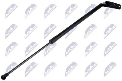 Dujinė spyruoklė, bagažinė