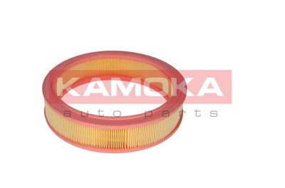 Air Filter F209301