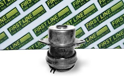 окачване, двигател FIRST LINE FEM3463