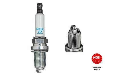 Spark Plug 5547