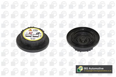 BUSON VAS EXPANSIUNE