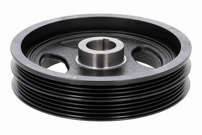 FULIE CUREA ARBORE COTIT VAICO V461916