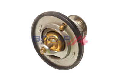 TERMOSTAT LICHID RACIRE