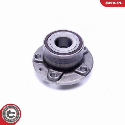 SET RULMENT ROATA ESEN SKV 29SKV413 2