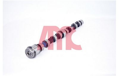 NOCKENWELLE AMC 647271 1