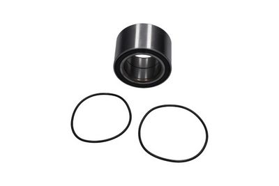 SET RULMENT ROATA Kavo Parts WBK10049