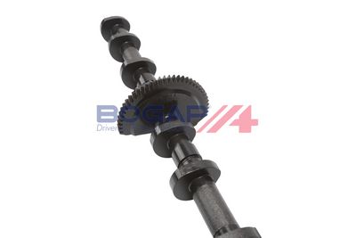 ARBORE EXCENTRIC REGLAREA ARBORELUI CU CAME BOGAP B1350111 3