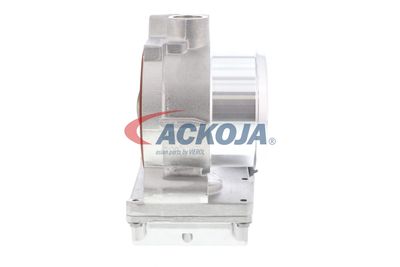 CARCASA CLAPETA ACKOJA A52810002 49