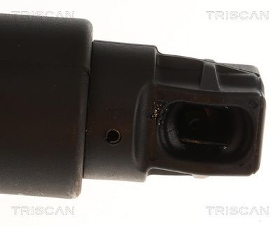 Plynárenská vzpera (pneumatická pružina), zavazadlový priestor TRISCAN 8710 11374