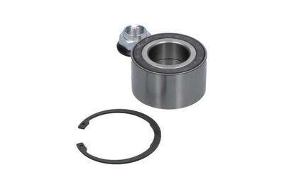 SET RULMENT ROATA Kavo Parts WBK10070 10