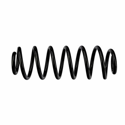 ARC SPIRAL EIBACH R10319 7