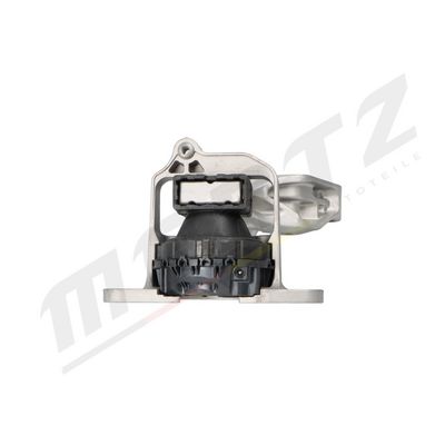 variklio montavimas MS5253 MERTZ