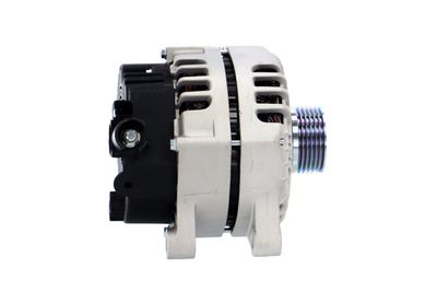 GENERATOR / ALTERNATOR REMANTE 011003000009R 42