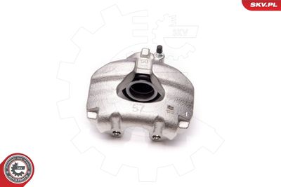 Brake Caliper 34SKV231