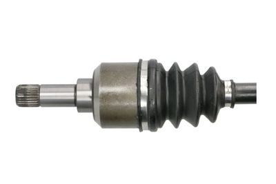 Planetara PASCAL G2C033PC