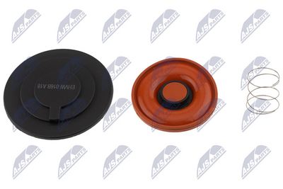 MEMBRANA AERISIRE CARCASA ARBORE COTIT