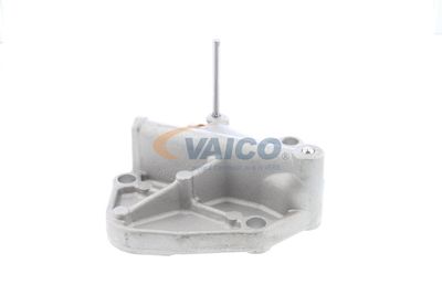 INTINZATOR LANT DISTRIBUTIE VAICO V104503 17