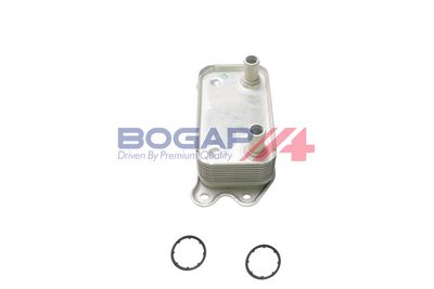 RADIATOR ULEI ULEI MOTOR BOGAP V4222100 3