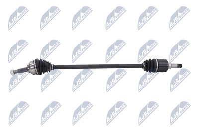 PLANETARA NTY NPWCH106 24