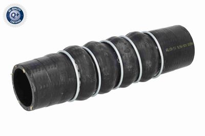 FURTUN EAR SUPRAALIMENTARE