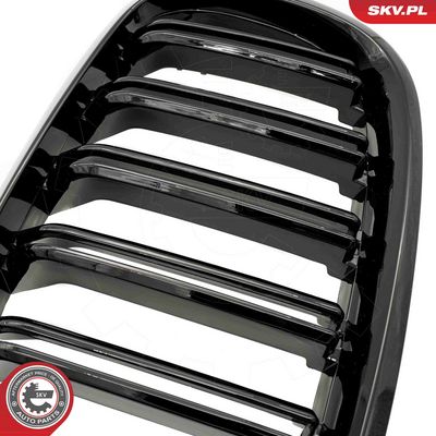 GRILA RADIATOR ESEN SKV 66SKV287 6