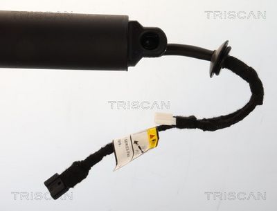 AMORTIZOR PORTBAGAJ TRISCAN 871011371 1