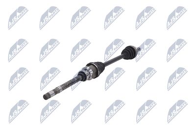 PLANETARA NTY NPWCT073 37